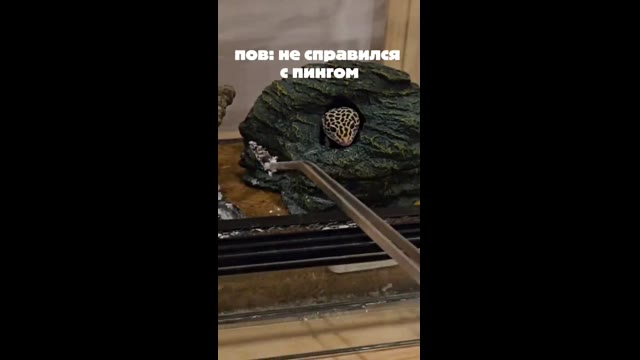 Пинг большой :(