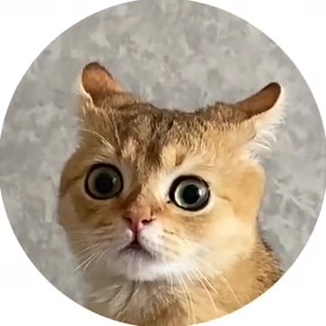 Пора платить